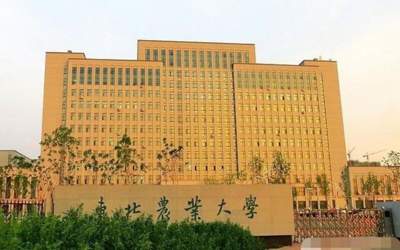 东北农业大学2022年各省录取分数线