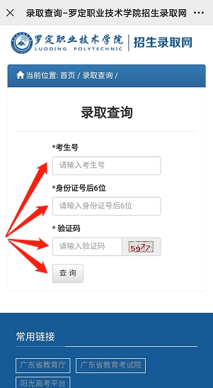 【录取查询】罗职院2023年广东夏季高考各专业最低分及排位公布